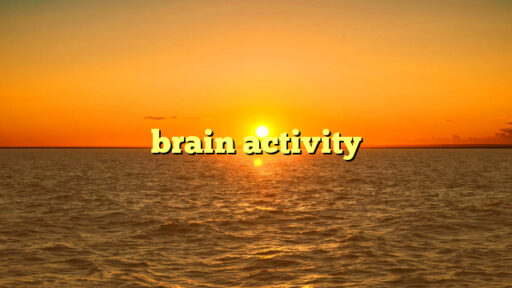 brain activity