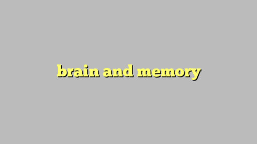brain and memory