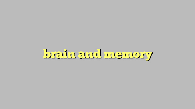 brain and memory