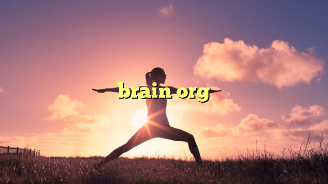 brain org