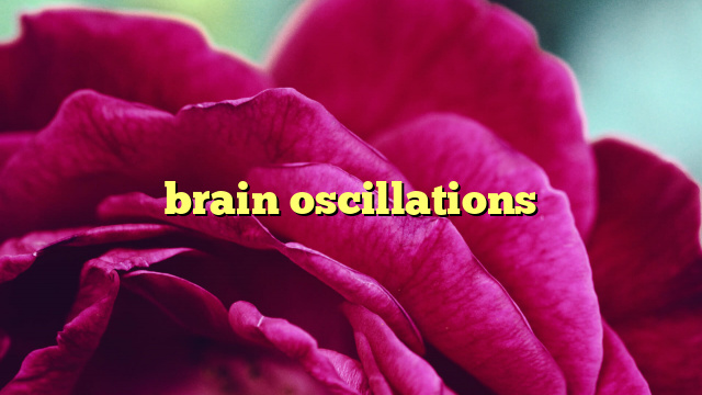 brain oscillations