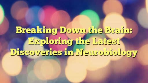Breaking Down the Brain: Exploring the Latest Discoveries in Neurobiology