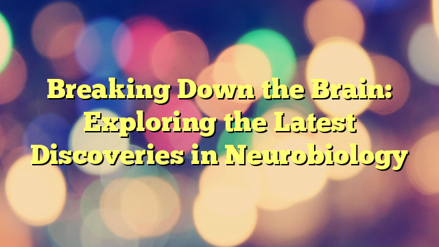 Breaking Down the Brain: Exploring the Latest Discoveries in Neurobiology