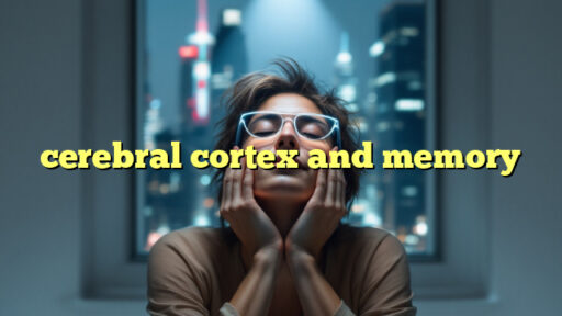 cerebral cortex and memory