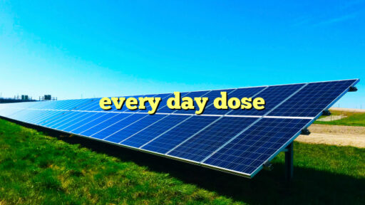 every day dose