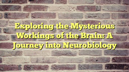 Exploring the Mysterious Workings of the Brain: A Journey into Neurobiology