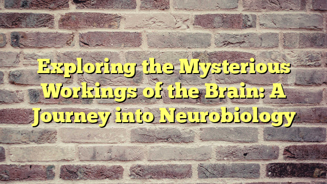 Exploring the Mysterious Workings of the Brain: A Journey into Neurobiology