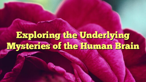 Exploring the Underlying Mysteries of the Human Brain