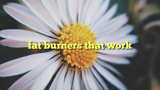 fat burners that work