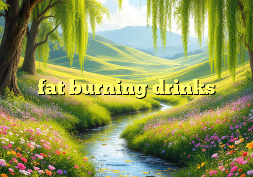 fat burning drinks