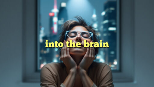 into the brain
