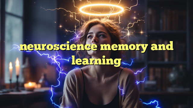 neuroscience memory and learning