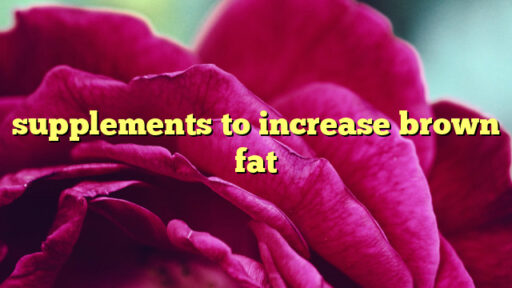 supplements to increase brown fat