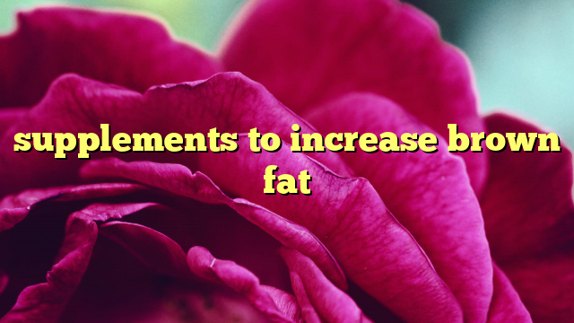 supplements to increase brown fat