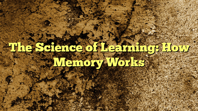 The Science of Learning: How Memory Works
