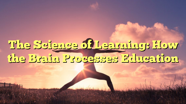 The Science of Learning: How the Brain Processes Education