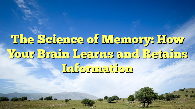 The Science of Memory: How Your Brain Learns and Retains Information