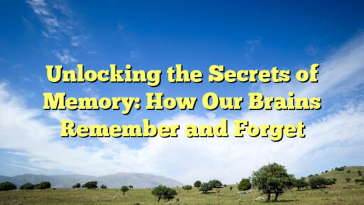 Unlocking the Secrets of Memory: How Our Brains Remember and Forget