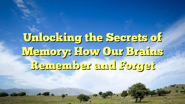 Unlocking the Secrets of Memory: How Our Brains Remember and Forget
