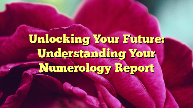 Unlocking Your Future: Understanding Your Numerology Report