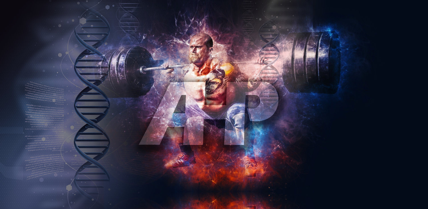 Why Everyone Can & Should Squat the Same: 101 Truths — Advanced Human Performance Official Website